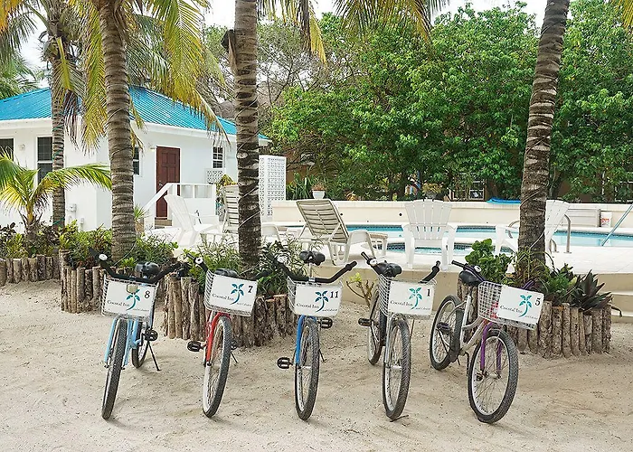 Cocotal And Hotel 3*